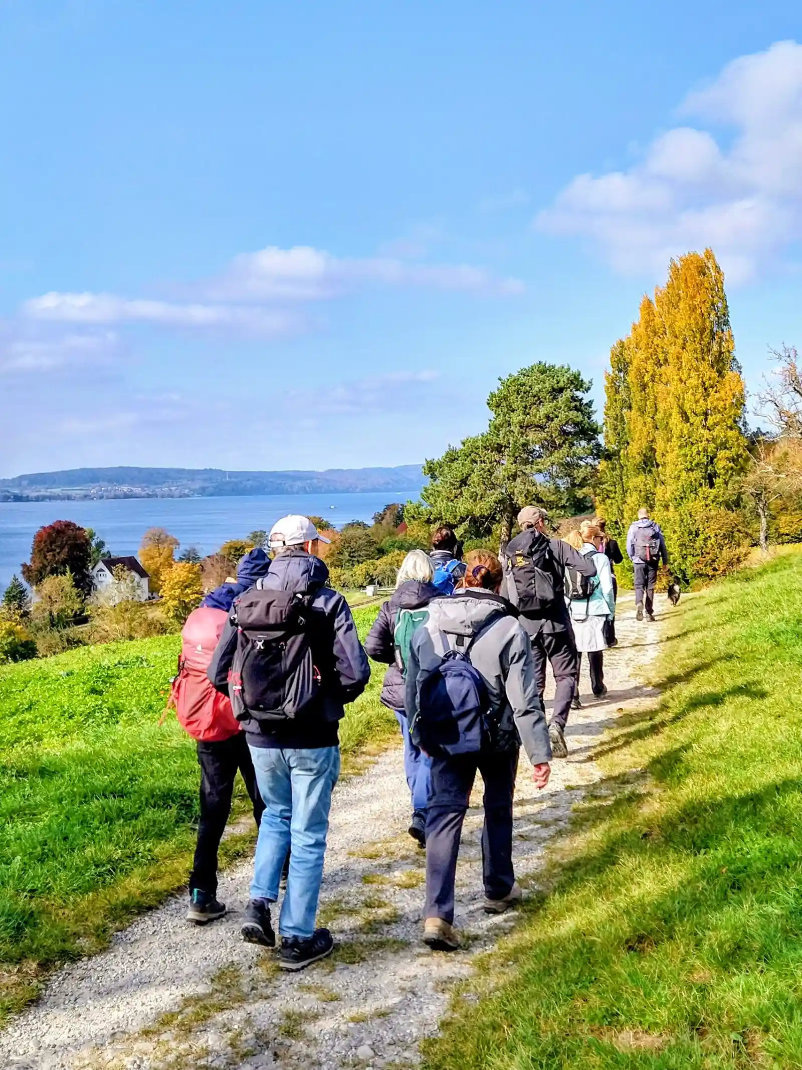 STRESSRESILIENZ DURCH BASENFASTEN, WANDERN & YOGA AM BODENSEE Bild 2