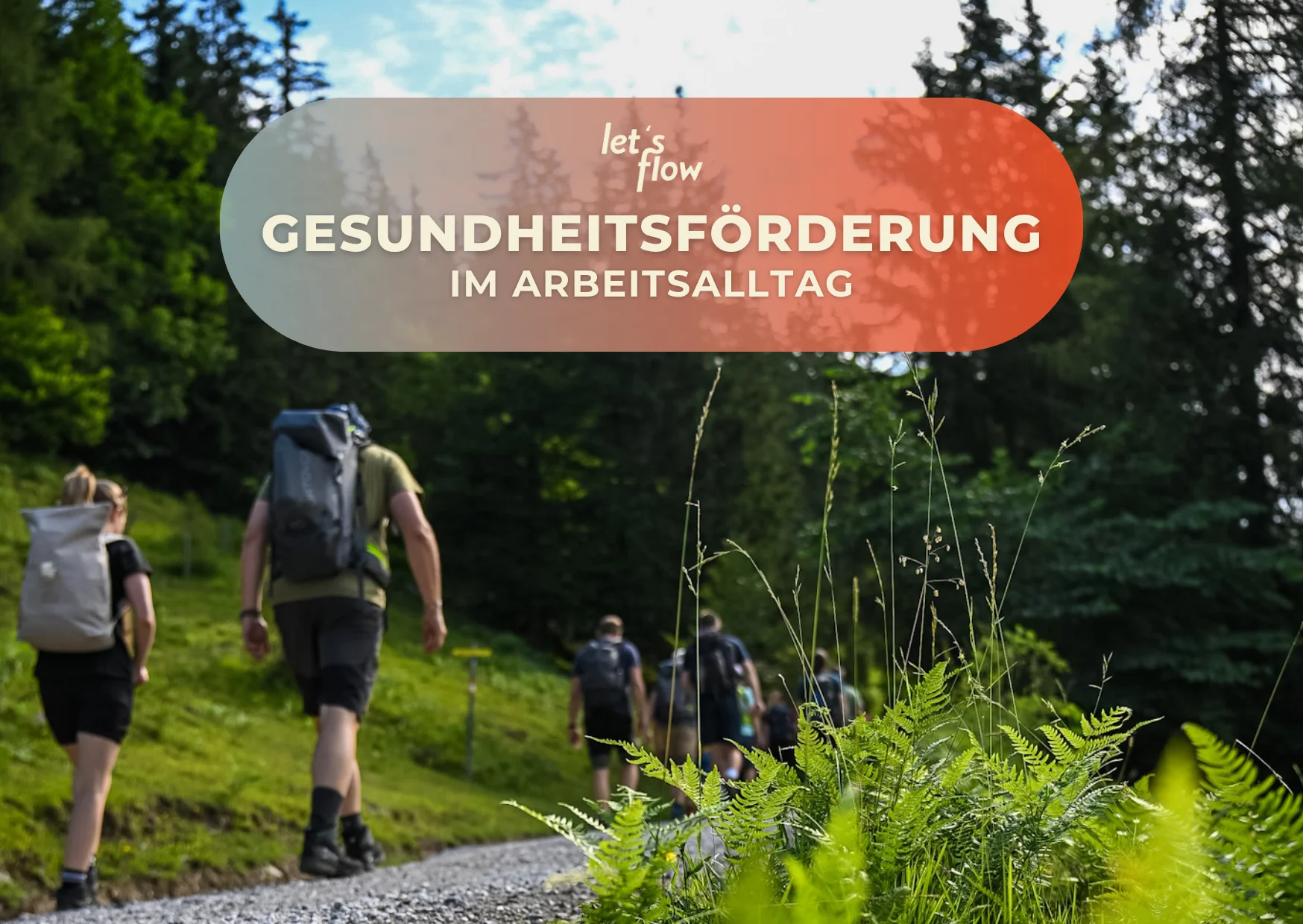 Wandern und Ressourcen bewusst nutzen im Schwarzwald Bild 1