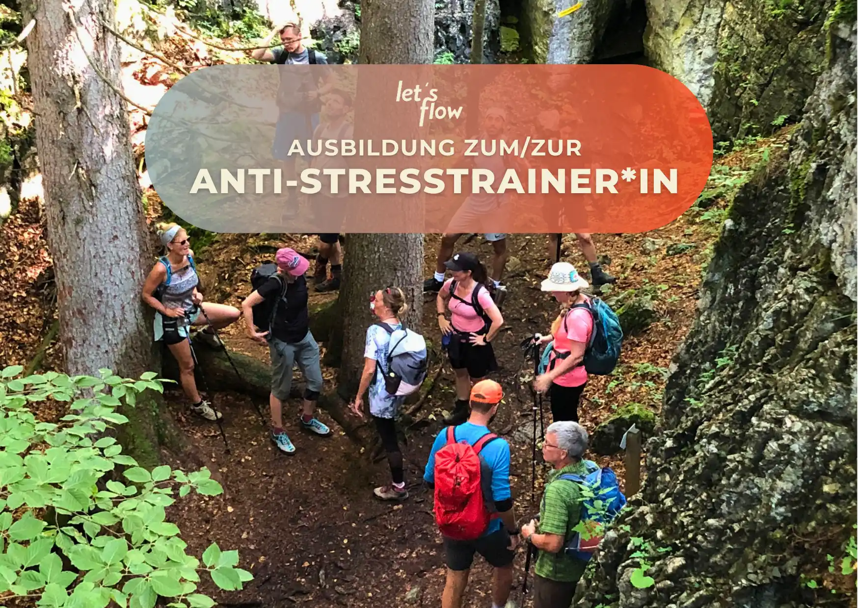 Wandern und Antistresstrainer*in werden im Schwarzwald Bild 1
