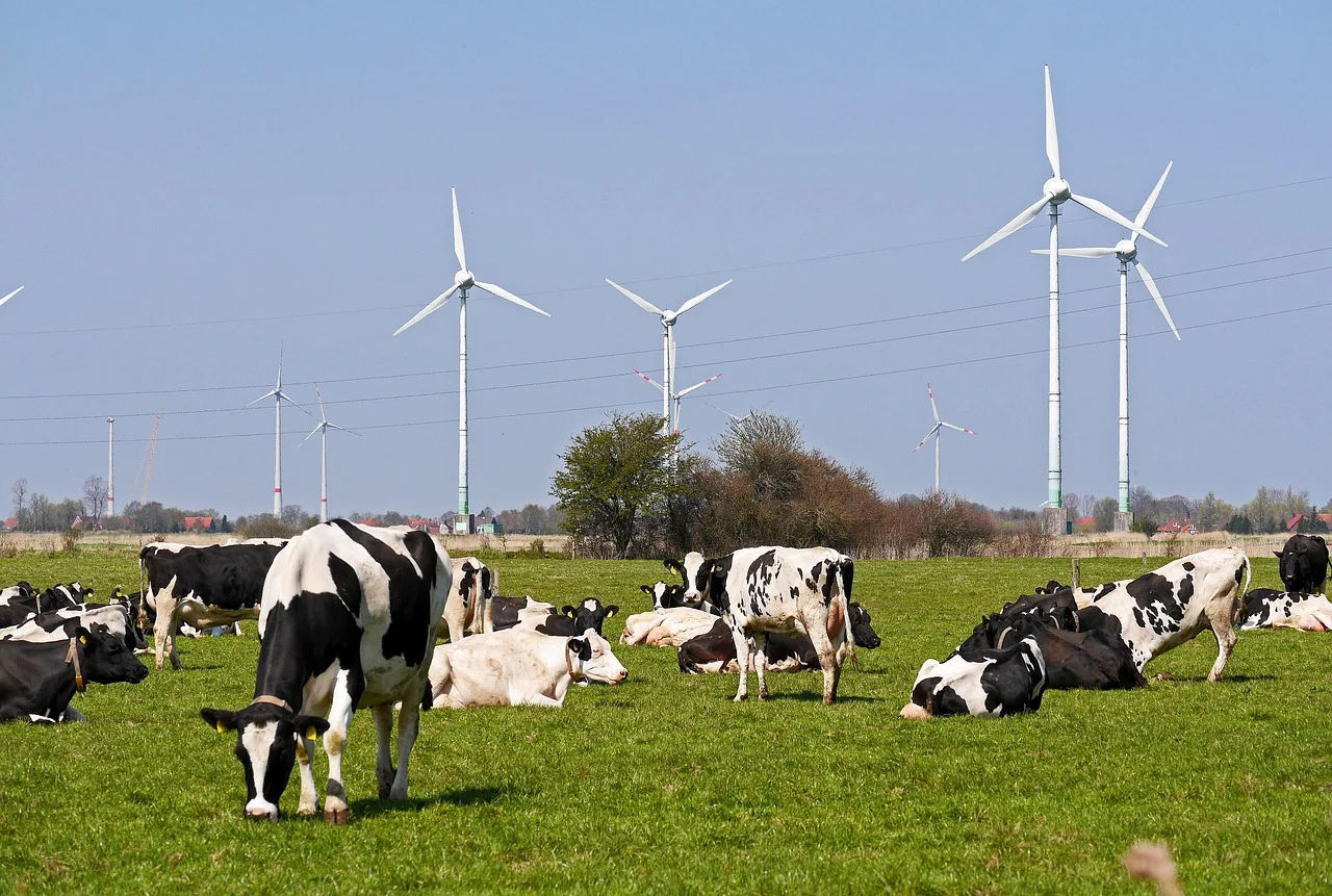 Alles um die Milch zwischen Meer und Moor Bild 1
