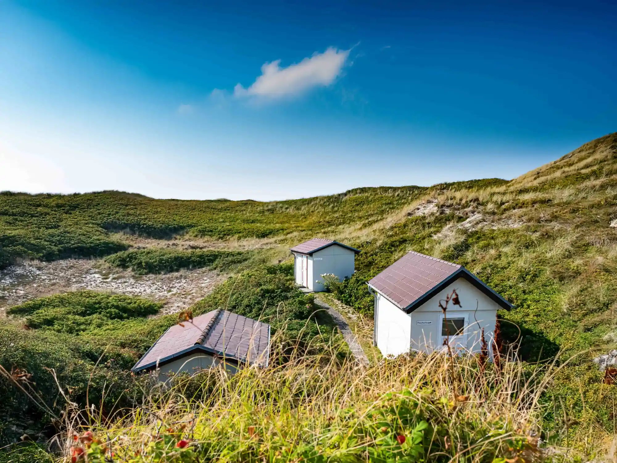 Resilienz, Achtsamkeit und sanftes Yoga in List auf Sylt - ein Training innerer Stärke für Beruf und Alltag Bild 2