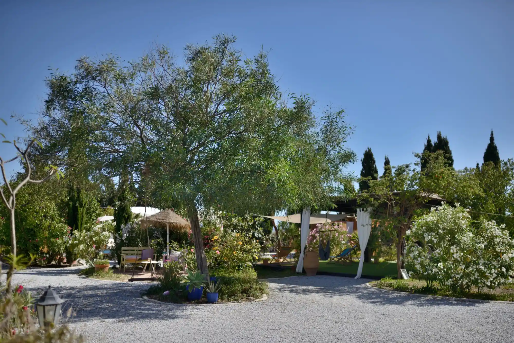 Auf neuen Wegen zu ganzheitlichem Wohlsein: Yoga und Naturerfahrung in Andalusien       Bild 1