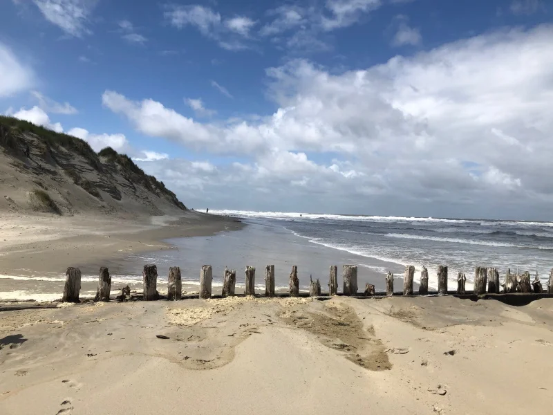 Yoga & Prävention im Bildungsurlaub* Bild 1