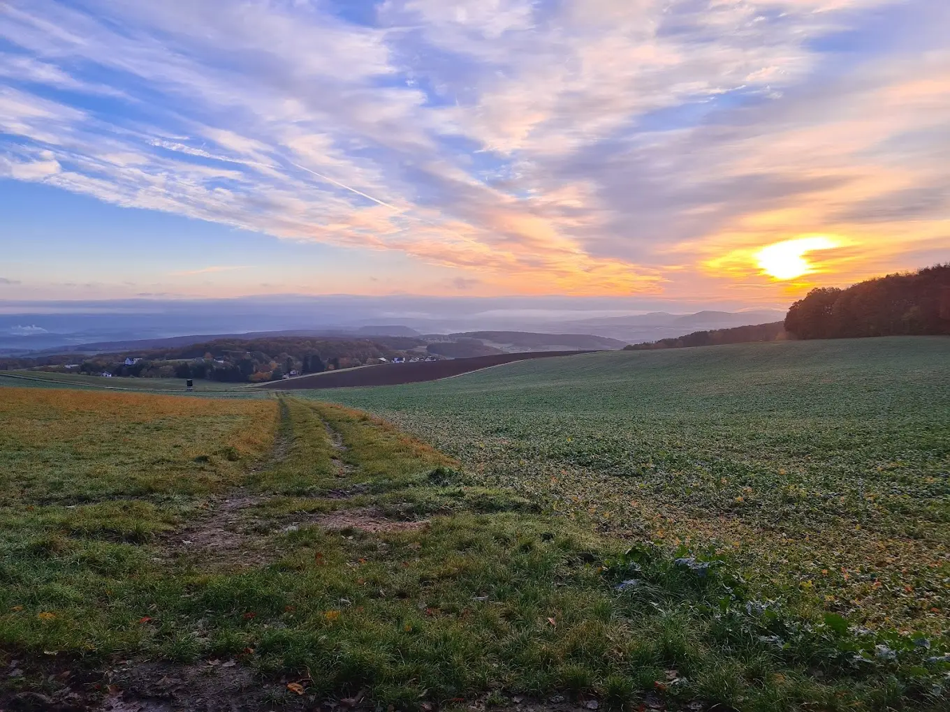 Naturerfahrung durch Yoga und Bewegungswellness in der Vulkaneifel Bild 2