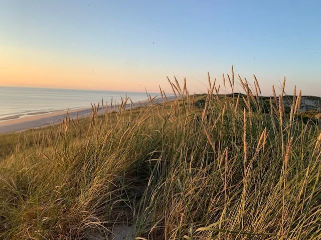 Durchstarten in der Lebensmitte mit Achtsamkeit - BU Sylt Bild 2