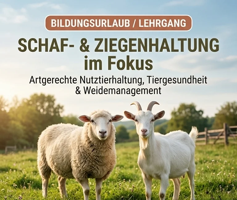 Sachkunde & Praxis der Schaf- und Ziegenhaltung - Bildungsurlaub zur Artgerechten Nutztierhaltung und nachhaltigem Herdenmanagement Bild 1