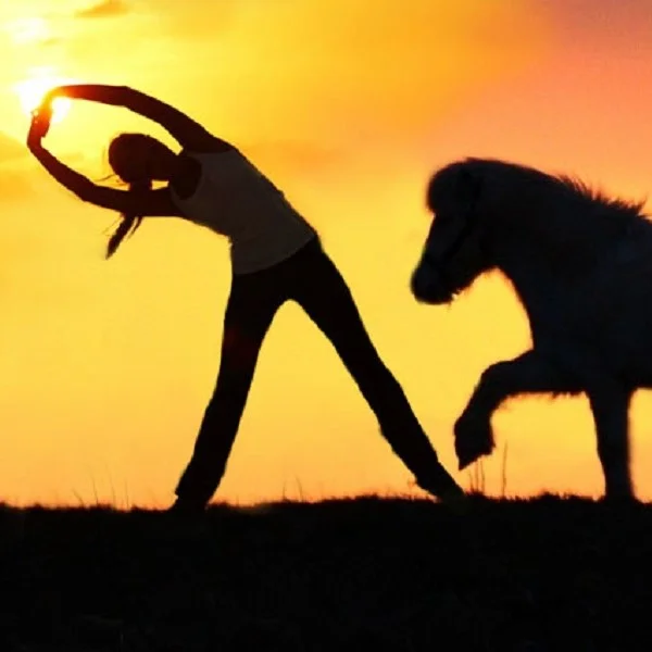 Konfliktfähigkeit und innere Stabilität mit Yoga und Bogenschießen - Empowerment und Geschlechtsspezifische Eigenwahrnehmung im friedvollen Miteinander Bild 1