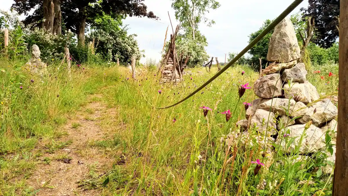 Naturgarten für Fortgeschrittene – mehr Arten, mehr Leben praxisnah erleben. Biodiversität fördern, Lebensräume gestalten  Bild 1