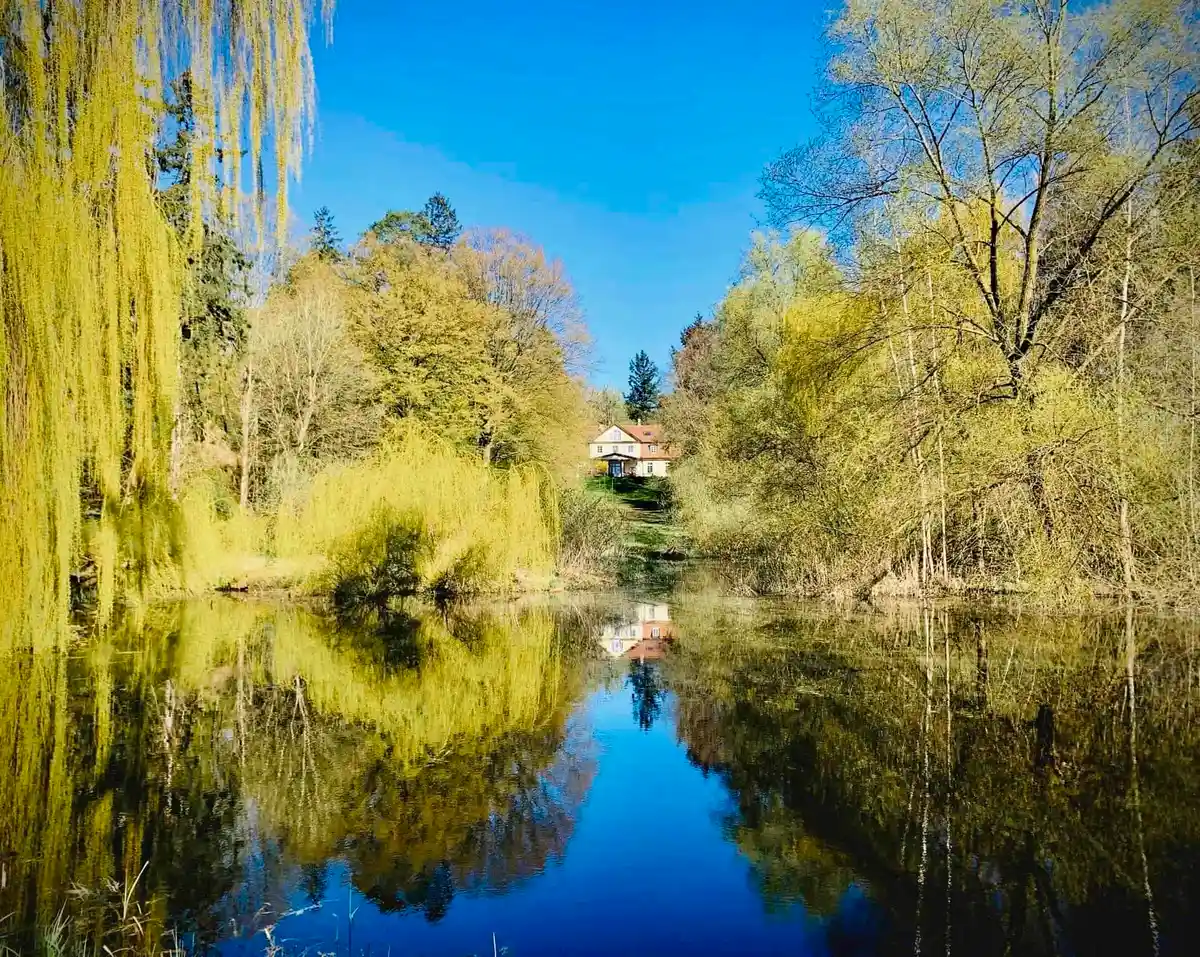 Arbeitskraft erhalten - Stress vorbeugen mit Fasten, Detox, Yoga und Wandern in Theorie und Praxis im Bio-Seegut Uckermark Bild 1