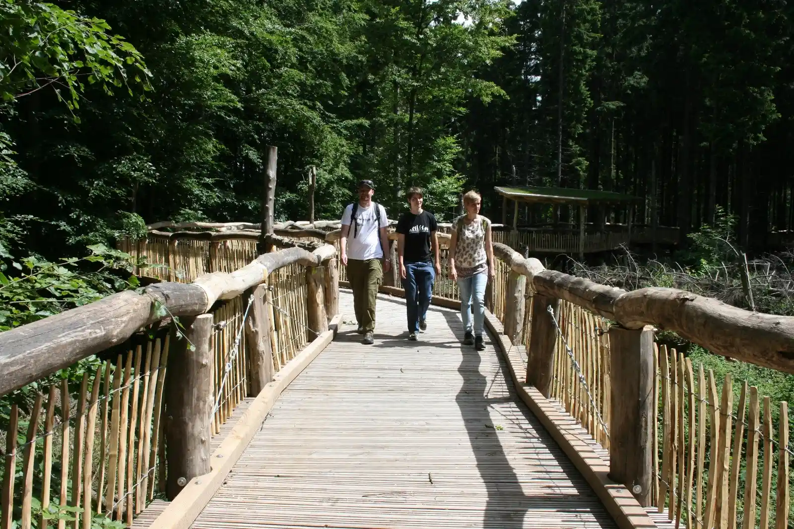 Frühling im Nationalpark Eifel - Fitbleiben im Beruf  –  Gesundheitskompetenz für erfahrene Berufstätige durch Ernährung, Bewegung, Stressprävention; Wandern rund  um den Kneippkurort Gemünd Bild 2