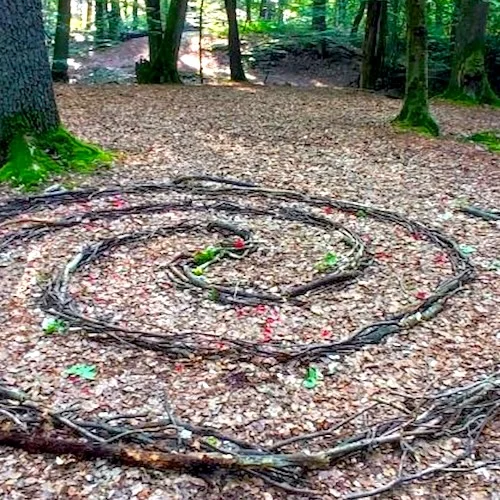 Bildungsurlaub - Retreat für Frauen. Natur, Stille und neue Kraft. Bild 1