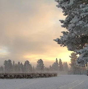 Bildungsurlaub: Neujahrs-Retreat für Frauen. Natur, Stille und neue Kraft Bild 1