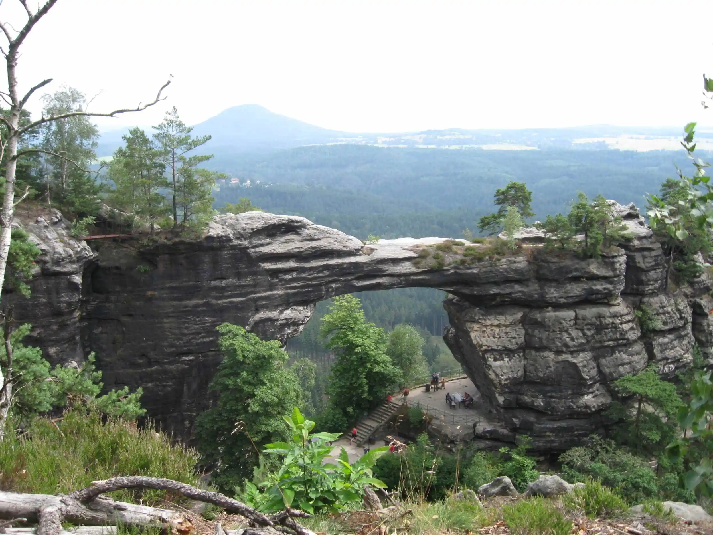 Der Nationalpark Sächsische Schweiz (Elbsandsteingebirge): Ist das schon Wildnis?! Bild 2