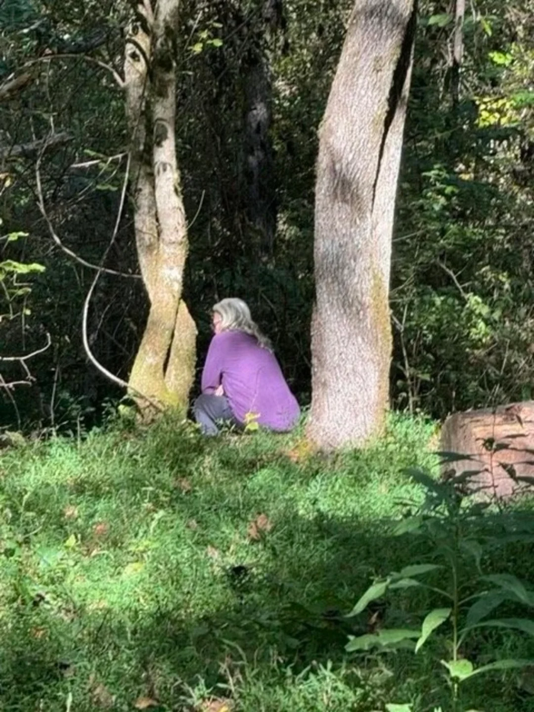 Resilienz und Stressreduktion im Grünen – Yoga & Waldbaden für Beruf und Alltag Bild 2