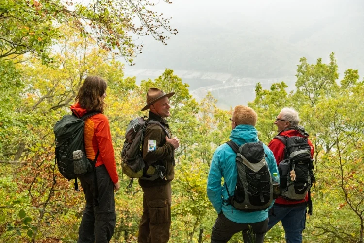 Wandern im Nationalpark Eifel: Fitbleiben im Beruf - Gesundheitskompetenz für erfahrene Berufstätige durch Ernährung, Bewegung, Stressprävention und Yoga Bild 2