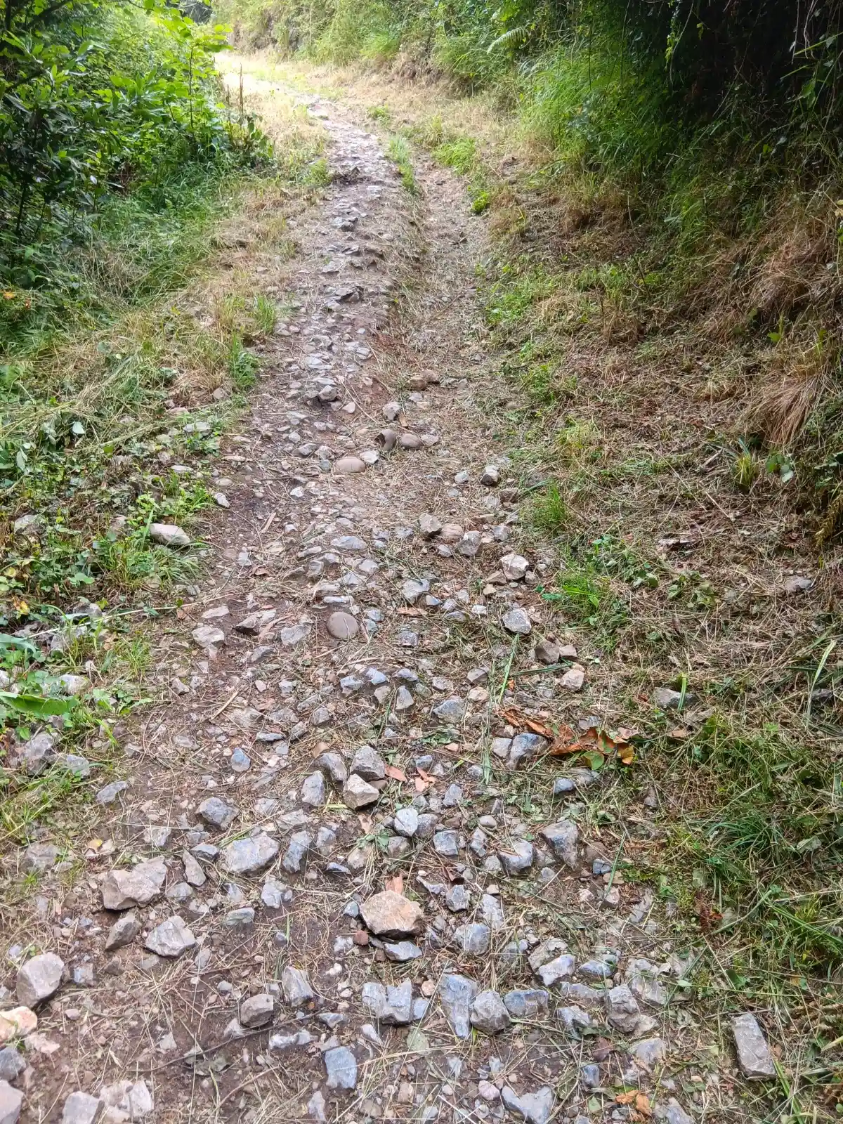 Jakobsweg von Oviedo bis Santiago de Compostela - Camino Primitivo  Bild 2