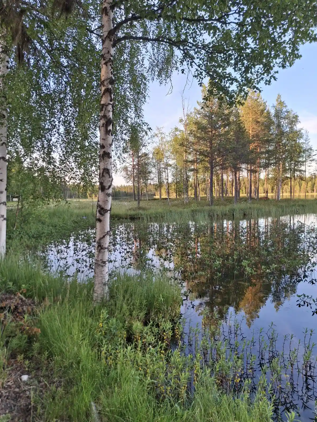 Schwedischlernen in Nordschweden (Kangosfors) Bild 2