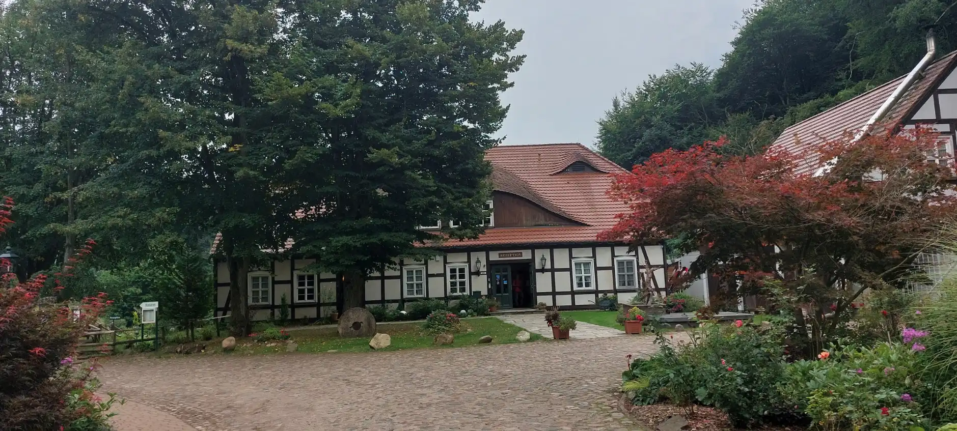 Stressmanagement mit Hatha Yoga & Ausbildung in Pranic Healing<sup>&reg;</sup> (Basic) Bild 1
