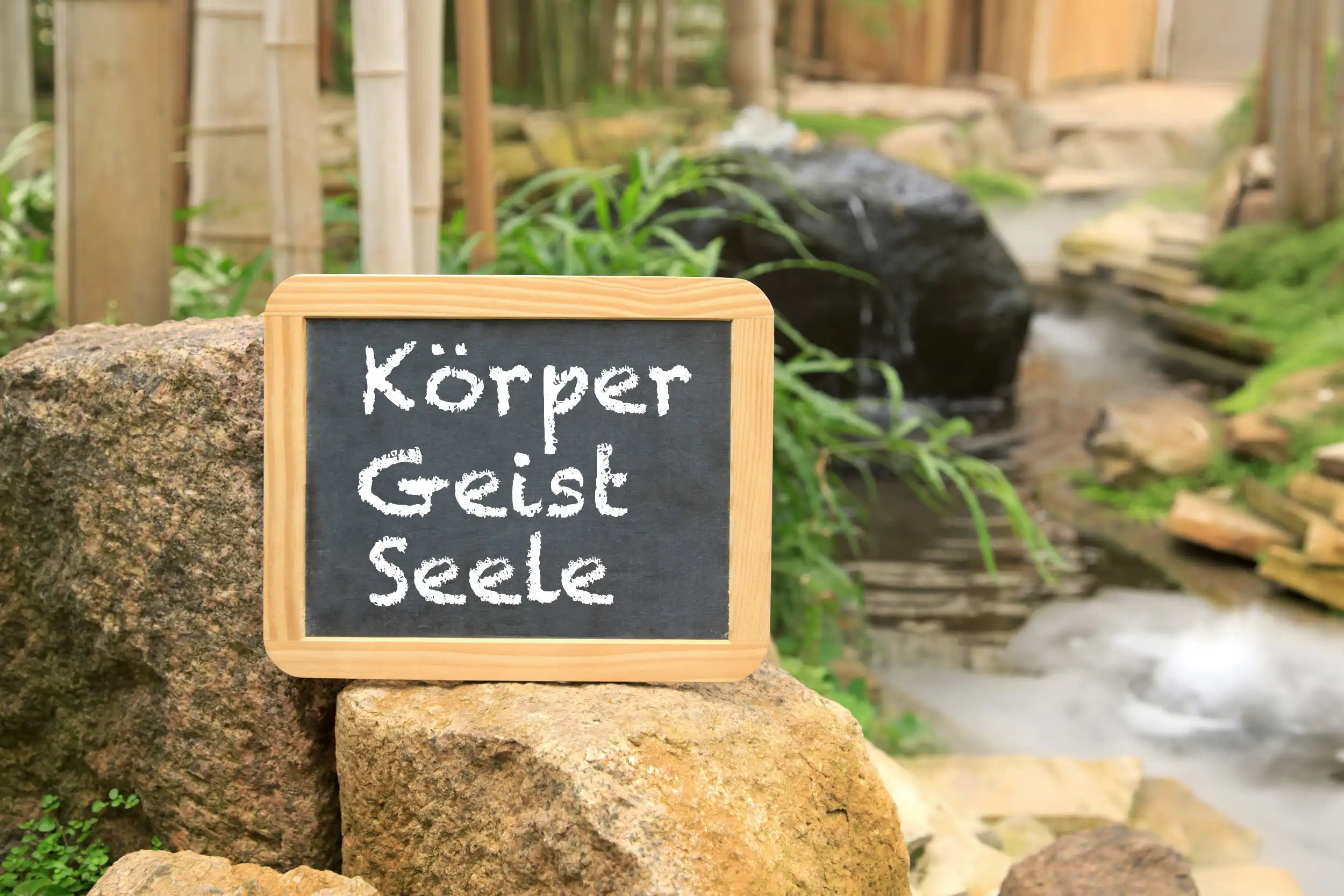 Kraft schöpfen im Rhythmus der Natur - Bewegung, Freier Tanz und Naturverbundenheit zur Gesunderhaltung und Burnout-Prophylaxe für Beruf und Gesellschaft Bild 2
