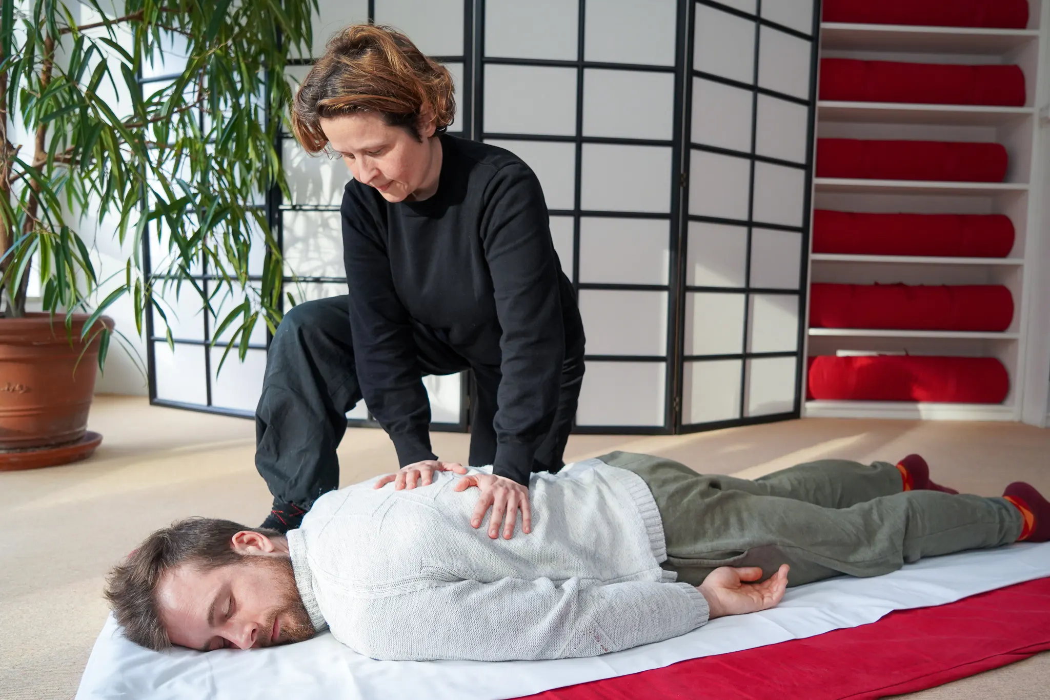Shiatsu Summerschool Grundlagenkurs für Anfänger*innen- die ersten 4 Meridiane behandeln (Shiatsu Basis A-Kurs 27) Bild 2