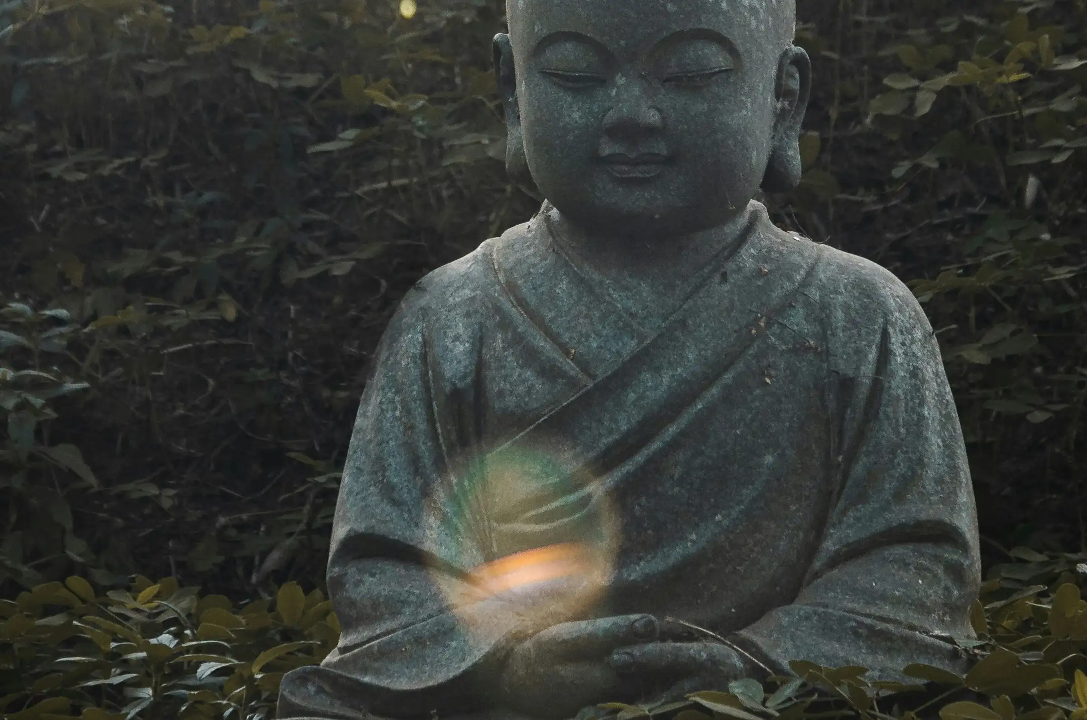 Qi Gong und Meditation aus dem Healing Tao nach Mantak Chia<sup>&reg;</sup> – Stressmanagement, Resilienz und Gesundheitskompetenz für den Berufsalltag Bild 1