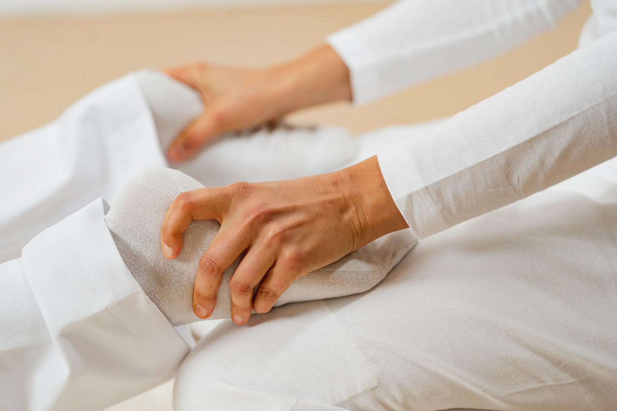 Körperarbeit Shiatsu: Grundlagenkurs Teil 2 für Anfänger*innen- die nächsten 5 Meridiane behandeln (Shiatsu Basis B-Kurs März.27 ) Bild 2