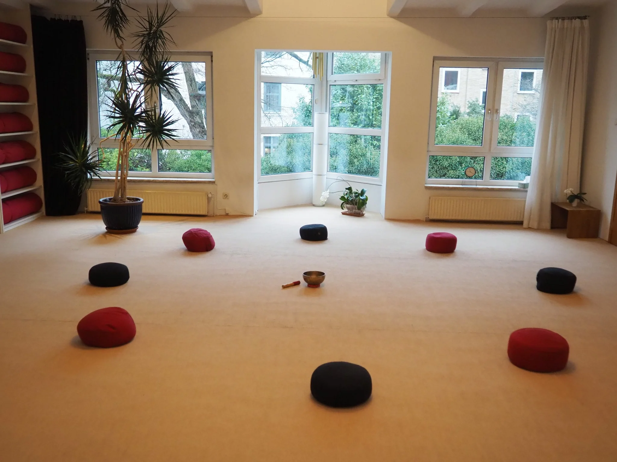 Winterschool Shiatsu: Grundlagenkurs an 5 aufeinanderfolgenden Tagen: Teil 2 für Anfänger*innen- die nächsten 5 Meridiane behandeln (Shiatsu Basis B-Kurs Jan27 ) Bild 2