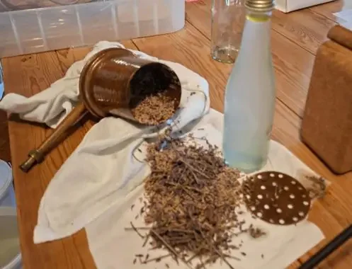 Aromatherapie zur Linderung von Stress und Förderung der Resilienz durch Pflanzen und ätherische Öle  Bild 1
