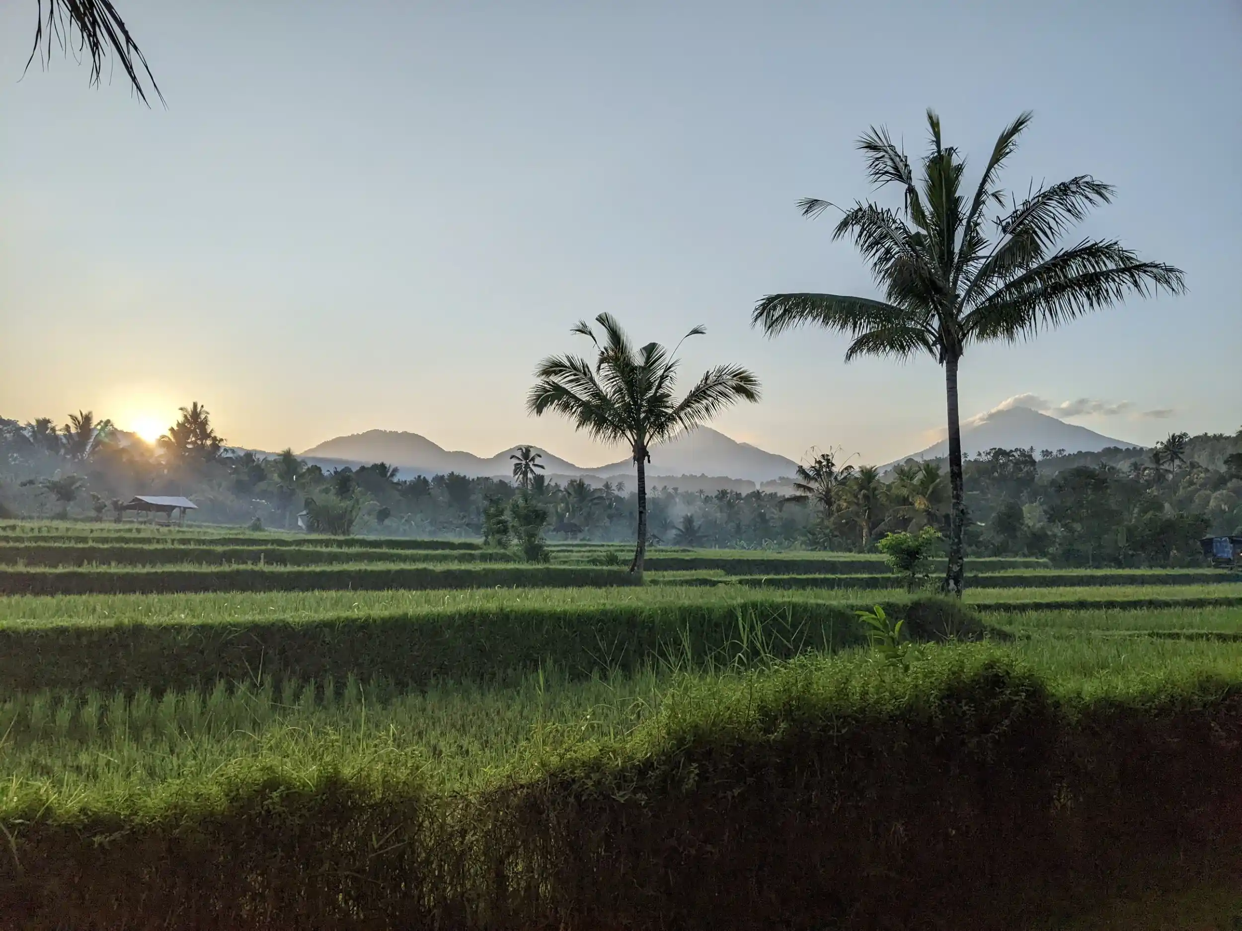 Sprachkurs Englisch Bali 1 Woche Bild 2