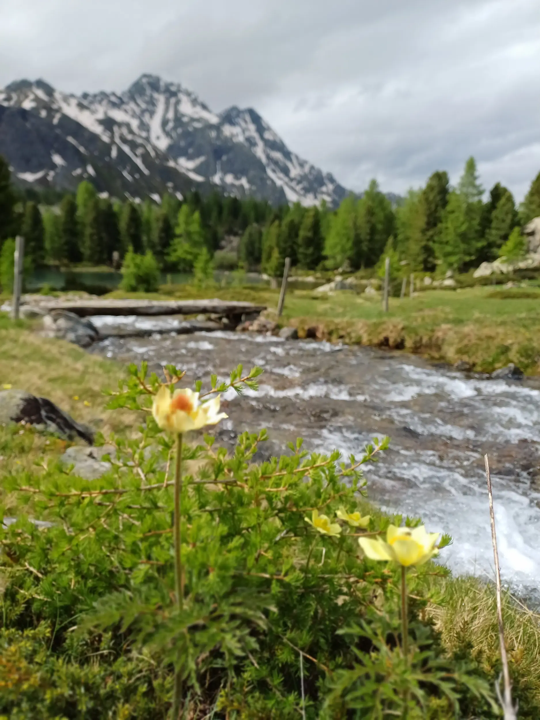 Bergwanderungen zwischen Berninapass und Tirano - Auf einsamen Wegen unterwegs zwischen dem Hochgebirge und den Weinbergen des Veltlin Bild 2