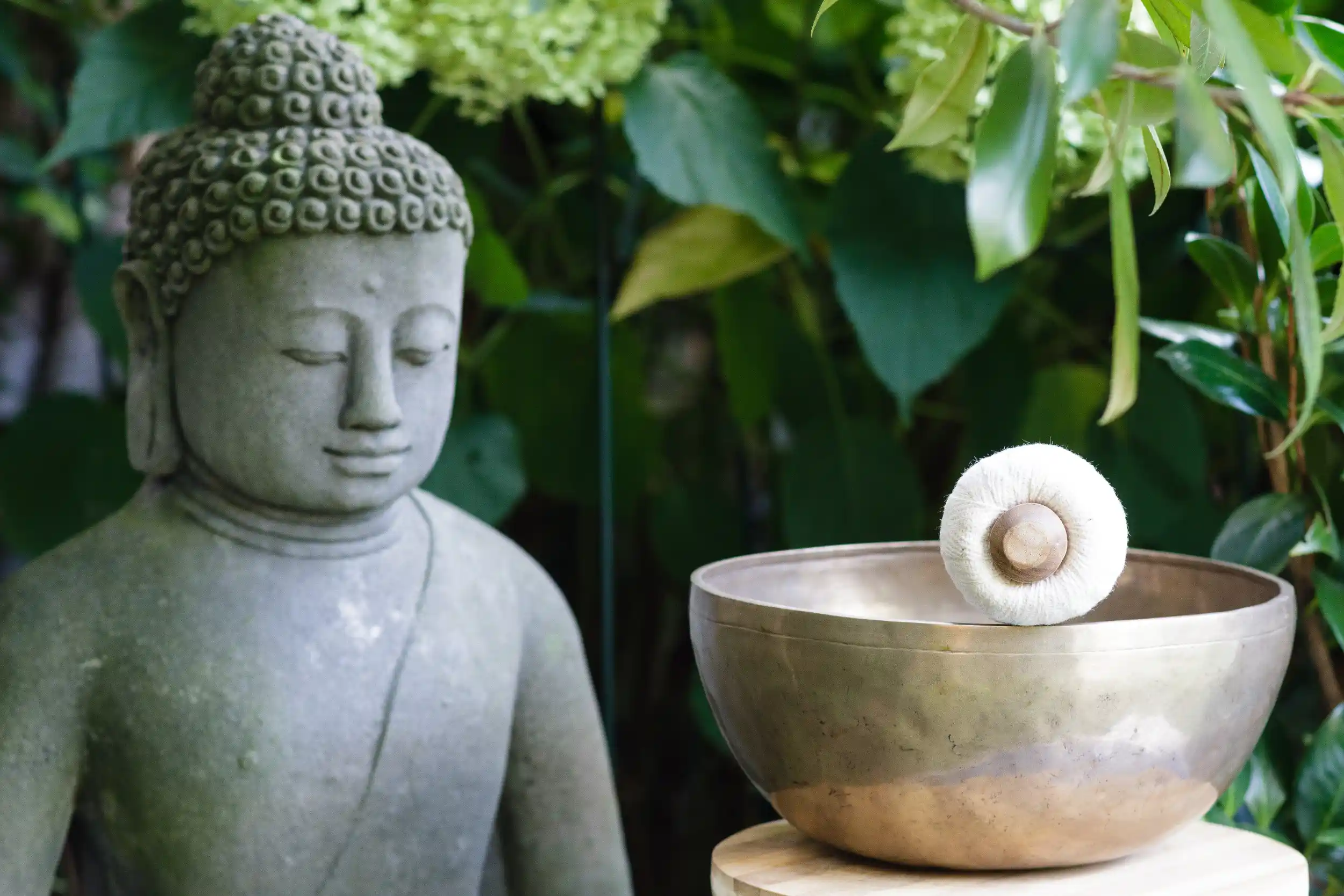 Mit Qigong im beruflichen Alltag Anspannung lösen und Vitalität steigern Bild 1