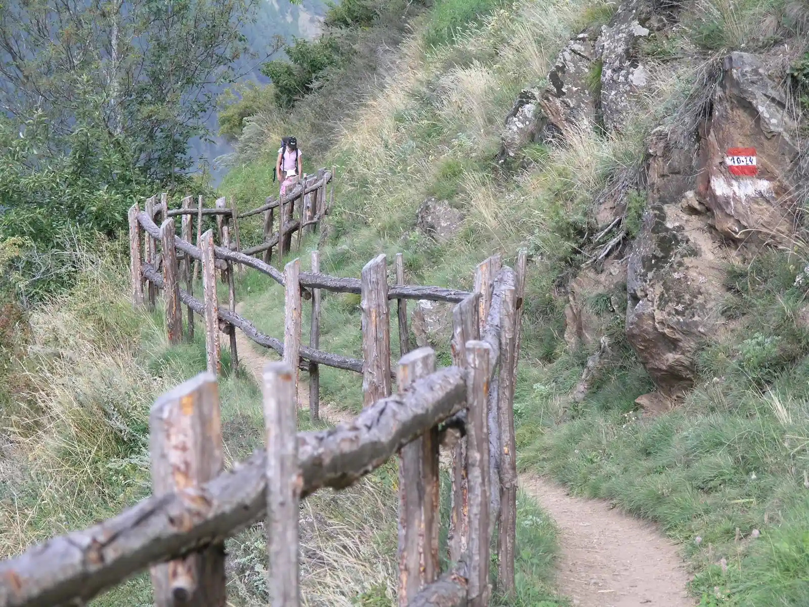 Vinschgau und Nationalpark Stilfserjoch – Chancen und Bedrohung einer faszinierenden Natur- und Kulturlandschaft Bild 2