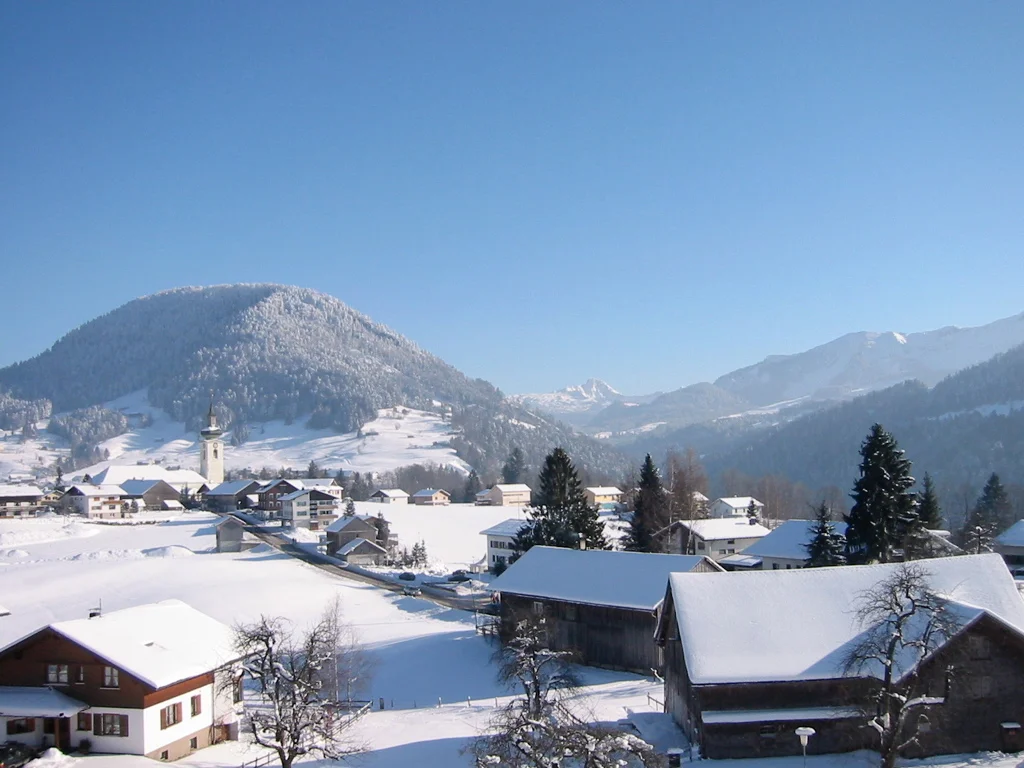Zukunftsfähiger Klima- und Naturschutz in der Alpen-Modellregion Bregenzerwald Bild 1