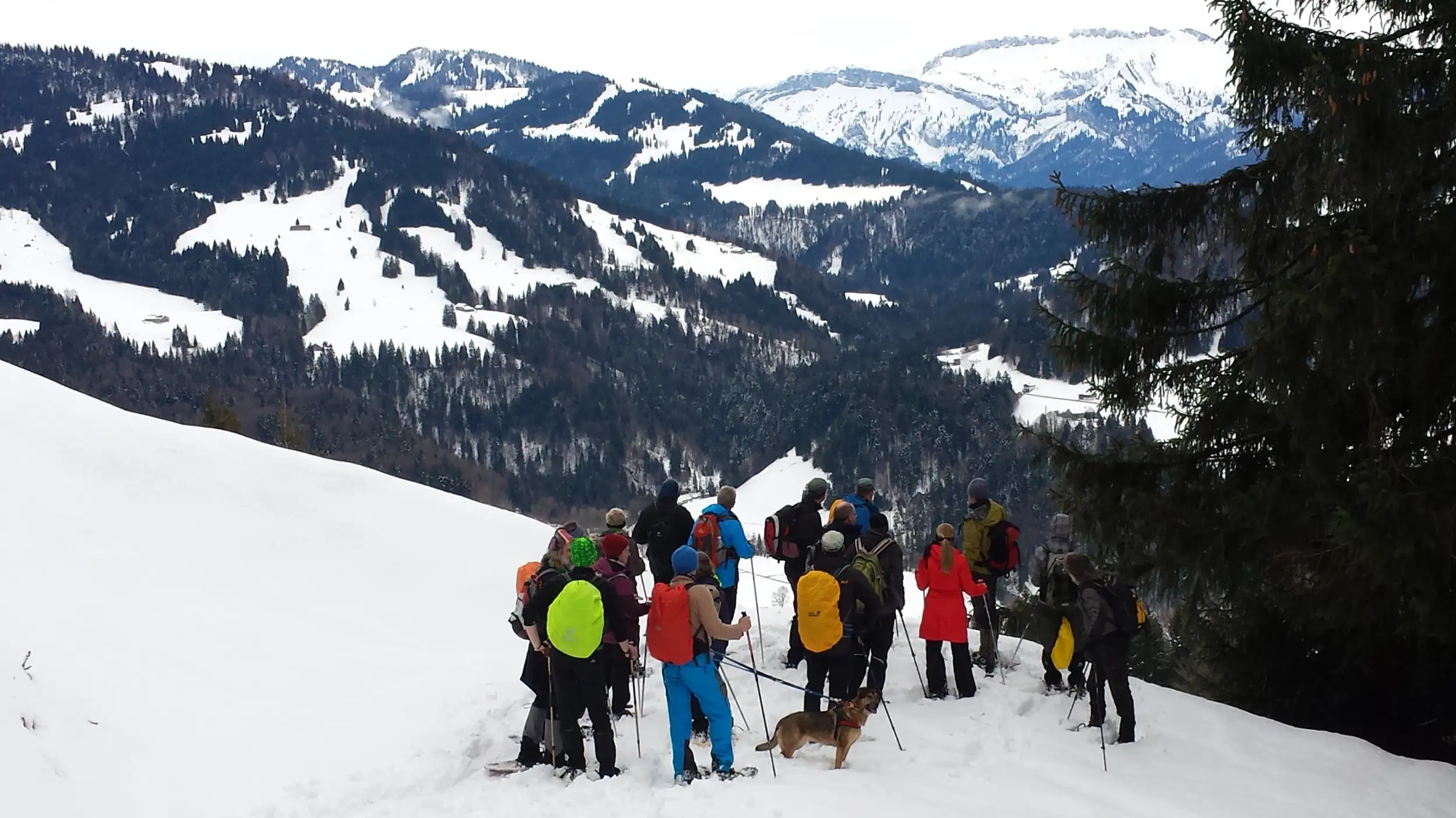 Zukunftsfähiger Klima- und Naturschutz in der Alpen-Modellregion Bregenzerwald Bild 2