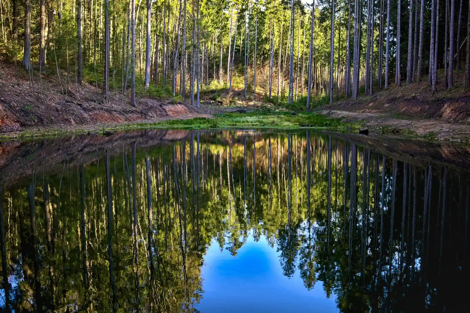 Lettland: Mit Wald und Stille achtsamer und entspannter den (Berufs-) Alltag gestalten Bild 1