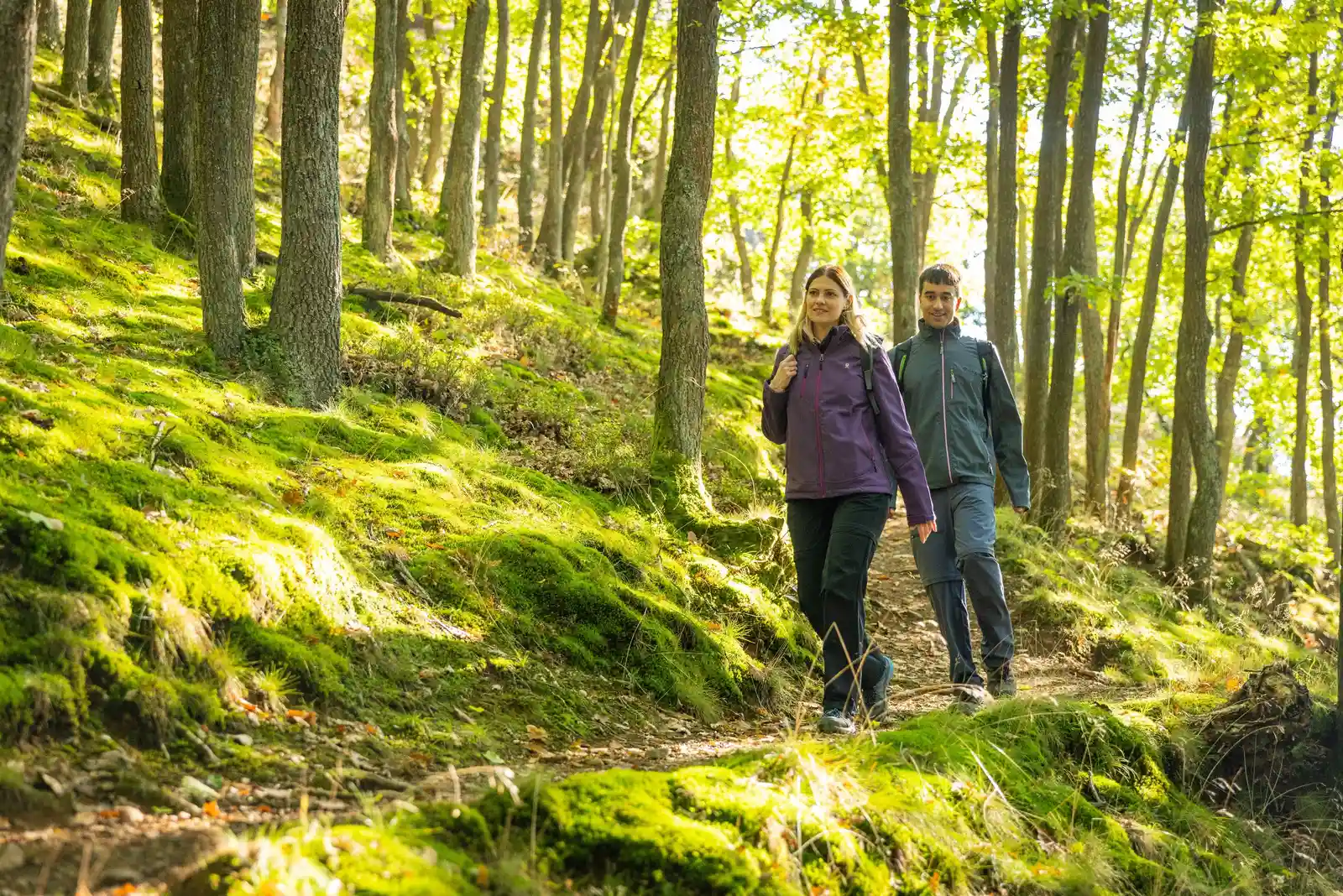 Wildnis-Trail: Naturschutzkonzepte und Regionalentwicklung im Nationalpark-Eifel Bild 2