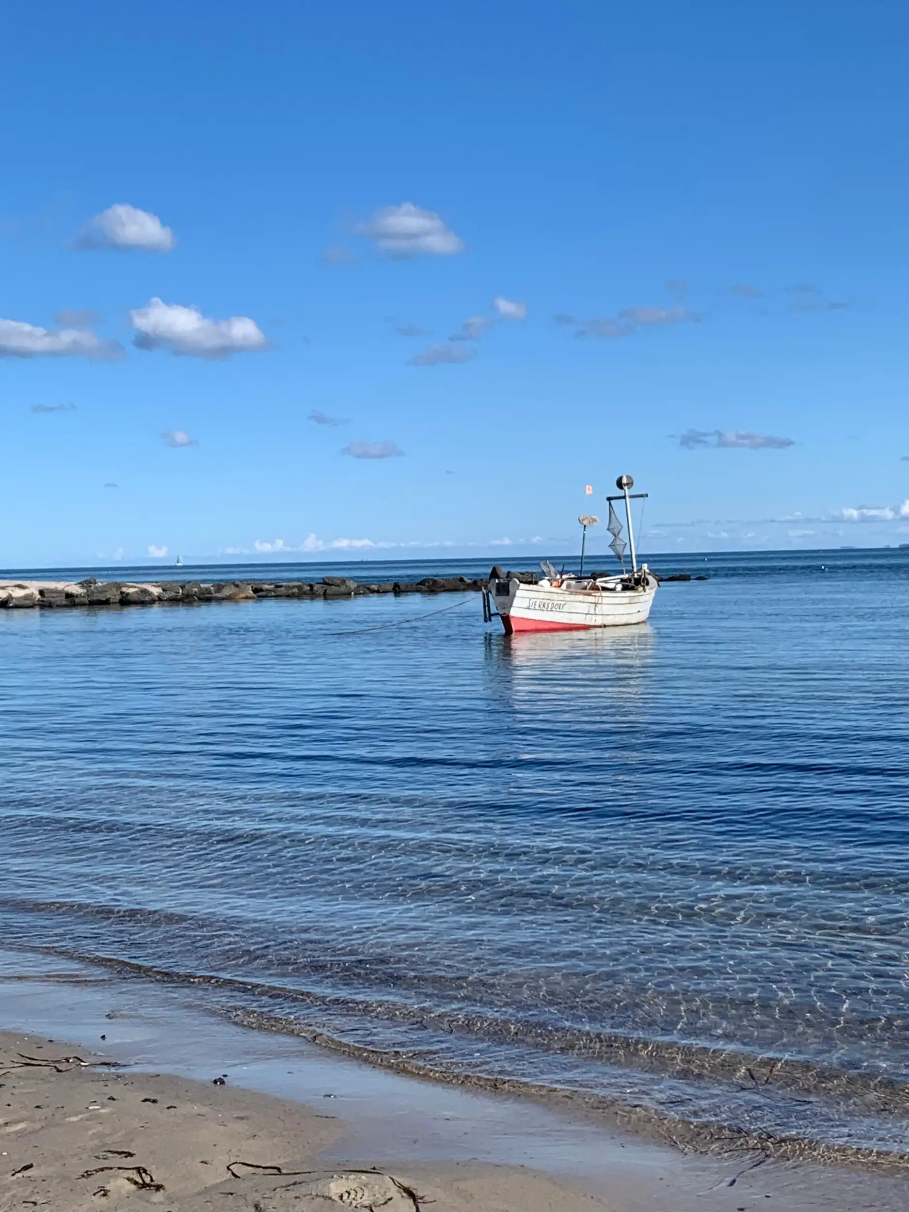 Bildungsurlaub  an der Ostsee - Wenn Gelassenheit Wurzel schlägt Stressbewältigung durch Achtsamkeit für den (Berufs-) Alltag nach der MBSR Methode / Krankenkassenzuschuss möglich Bild 2