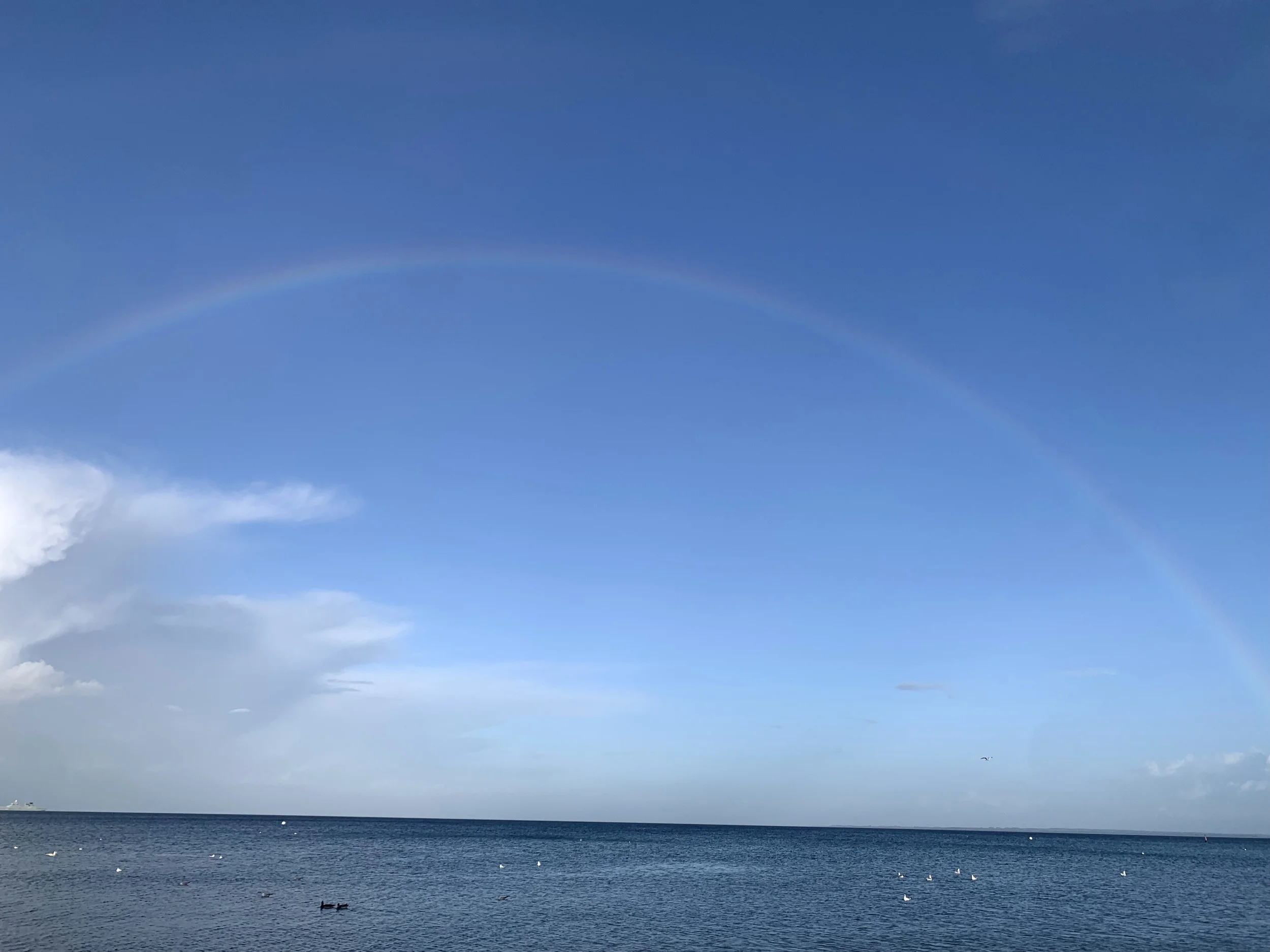 Bildungsurlaub  an der Ostsee - Wenn Gelassenheit Wurzel schlägt Stressbewältigung durch Achtsamkeit für den (Berufs-) Alltag nach der MBSR Methode / Krankenkassenzuschuss möglich Bild 1