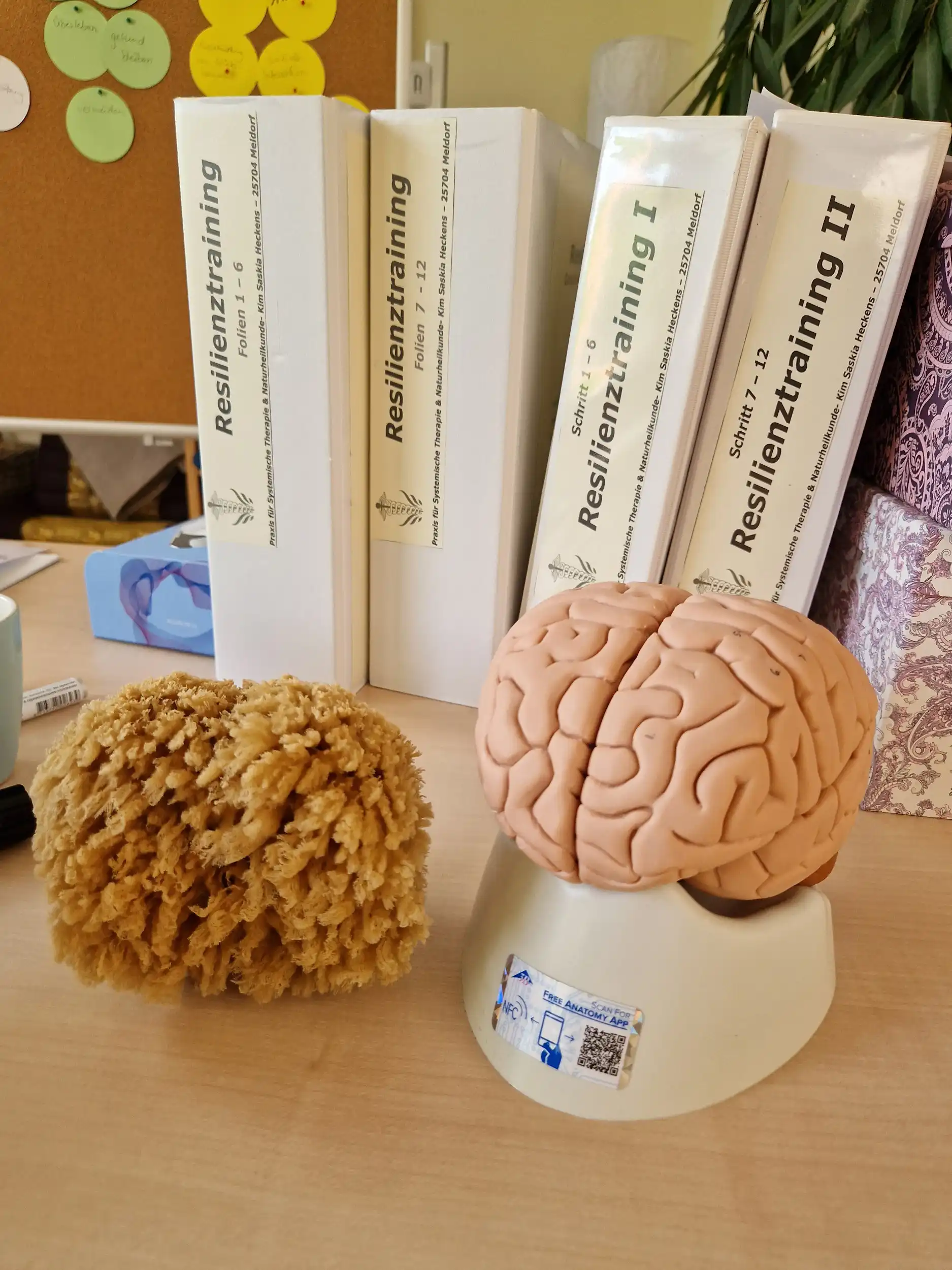 Ausbildung zum Resilienztrainer (6Tage)  Bild 1
