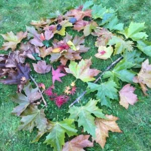 Ausbildung Natur-Resilienz-Trainer*in<sup>&reg;</sup> Bild 2