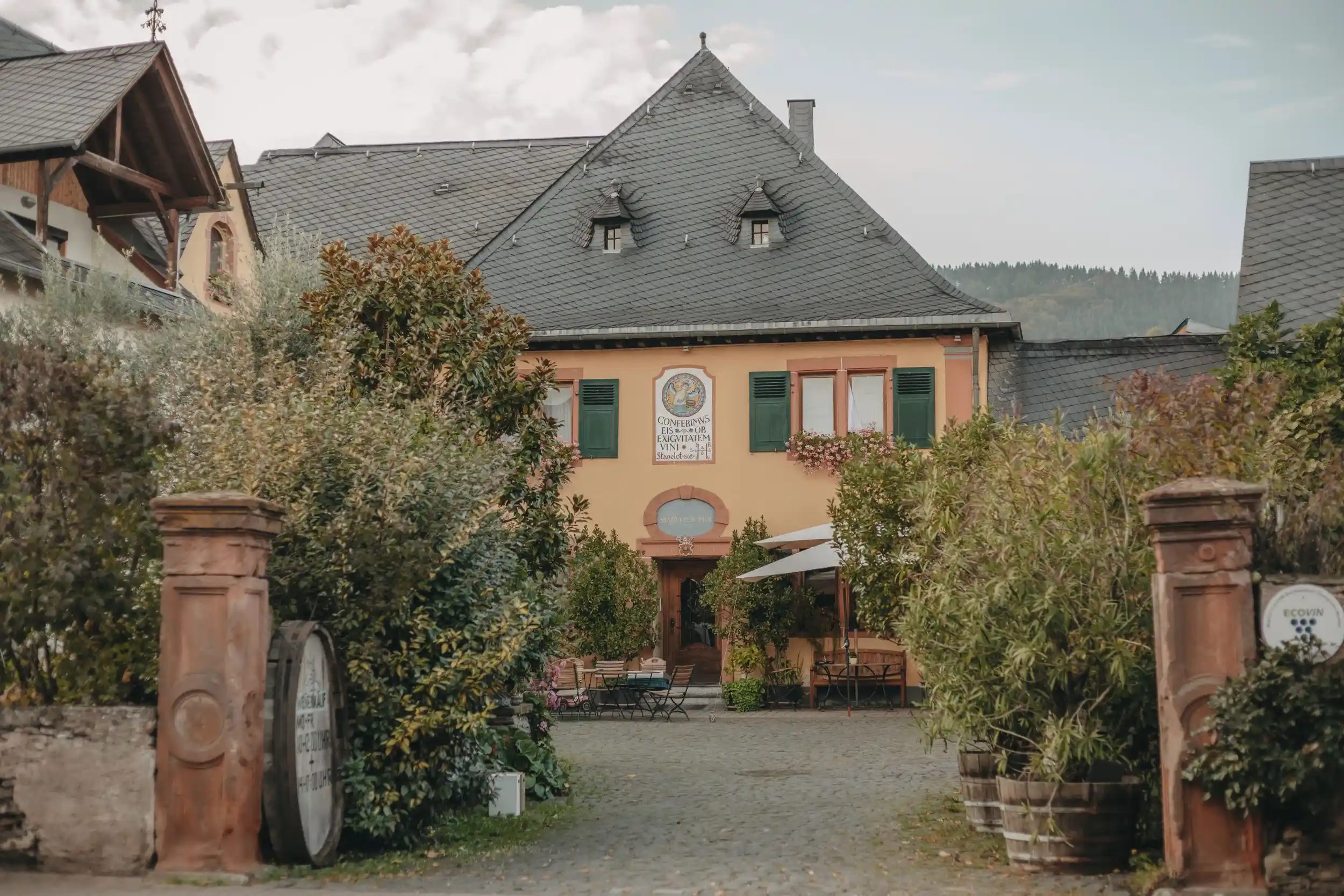 Klimawandel im Weinbau – Landwirtschaft, Landschaft und Tradition im Wandel Bild 1