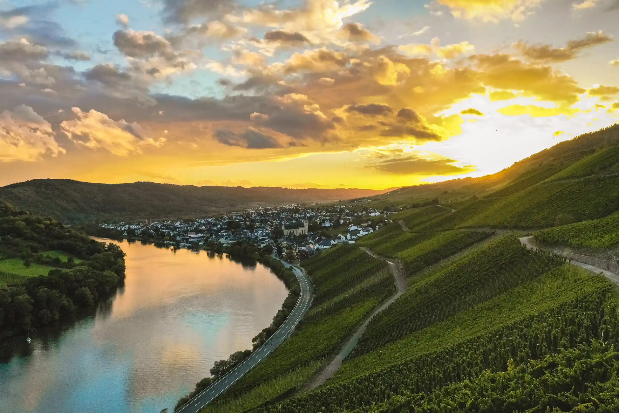 Klimawandel im Weinbau – Landwirtschaft, Landschaft und Tradition im Wandel Bild 2