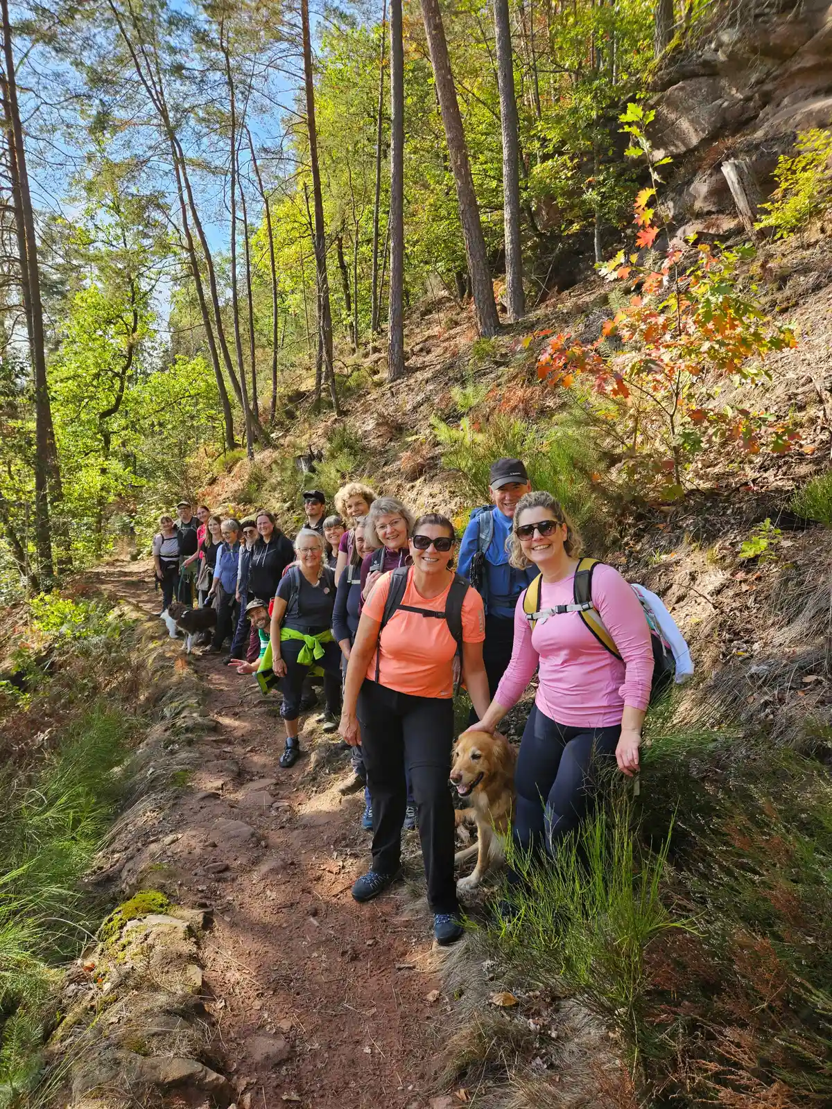 STRESSRESILIENZ DURCH BASENFASTEN, WANDERN. YOGA IM PFÄLZERWALD Bild 2