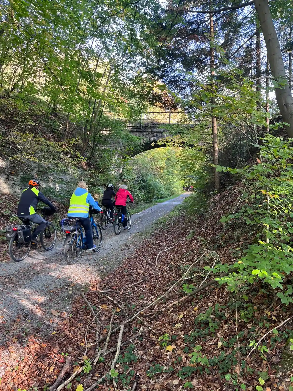 Mit dem E-Bike im Nationalpark Hainich: Fitbleiben im Beruf - Gesundheitskompetenz für erfahrene Berufstätige durch Ernährung, Bewegung und Stressprävention im UNESCO-Welterbe.  Bild 1